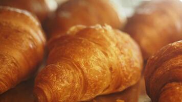 Freshly baked croissants from a local bakery video