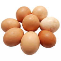 Fresh Brown Chicken Eggs Group with Natural Texture and Color on Transparent Background Clipping Path png