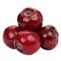 Fresh Ripe Cranberries Close Up with Transparent Background Clipping Path png
