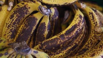 Fresh bananas piled high at local market in sunny afternoon video