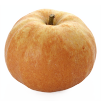 Fresh Ripe Yellow Apple with Stem Isolated on Transparent Background Clipping Path png