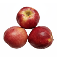 Red Apples Three Fresh Ripe Fruit with Stem and Natural Skin Texture on Transparent Background Clipping Path png