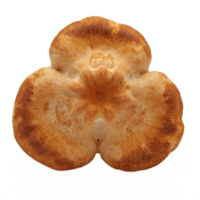 Closeup Top View Dried Wild Mushroom Cap Isolated on Transparent Background Clipping Path png