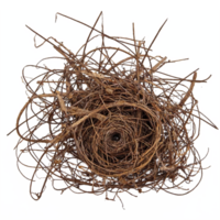 Detailed Bird Nest Made of Dry Twigs and Branches with Transparent Background Clipping Path png