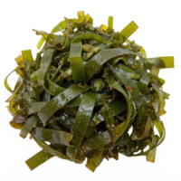 Fresh Green Seaweed Bundle with Wet Shiny Texture Isolated on Transparent Background png