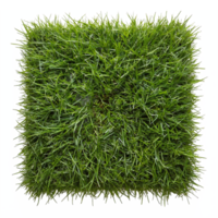Square Patch of Lush Green Grass with Transparent Background Clipping Path for Landscape Design png