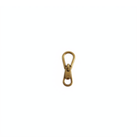 bronze mosquetão grampo gancho isolado em transparente fundo com recorte caminho png