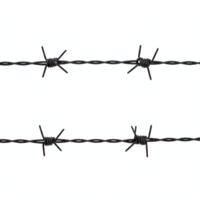 Close up of Metal Barbed Wire with Sharp Spikes Isolated on Transparent Background Clipping Path png