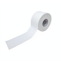 Soft White Toilet Paper Roll with Unrolled Sheet Isolated on Transparent Background Clipping Path png