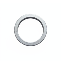 Metal Circular Washer Isolated on Transparent Background Clipping Path with Shadow png