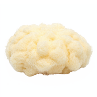 Natural Loofah Sponge with Soft Texture Isolated on Transparent Background Clipping Path png
