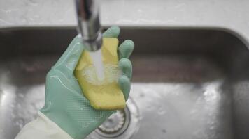 washing a sponge under a faucet. video