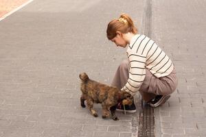 Exploring Spain's streets while interacting with a friendly cat during a leisurely walk photo
