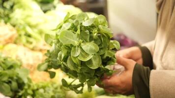 Fresh herbs selection at local market for cooking video