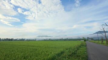 Road Beside Rice Field with Mountain View video