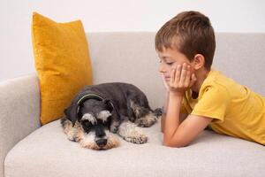 Children playing with a dog on a couch at home enjoying quality time together photo
