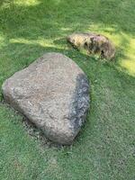 Large Natural Boulders Resting on a Vibrant Green Grass Lawn with Sunlight and Shadow photo