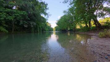 Calm River Running Through Verdant Landscape video
