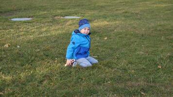 Brightly dressed child sits on the grassy ground in the park, smiling and enjoying a carefree moment under the clear autumn sky, surrounded by nature's calmness. photo
