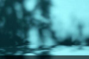 Abstract Background Featuring Blurred Shadows of Foliage on to Light Blue Surface Wall photo