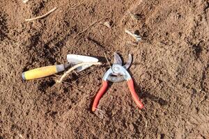 Gardening Tools Being Used in an Archaeological Context. photo