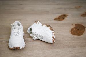 child walks around the house in dirty shoes. Concept of child soiled laminate flooring photo