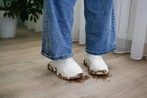 The child walks around the house in dirty shoes. Concept of child soiled laminate flooring. photo