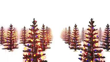 Christmas Tree Loop Background video