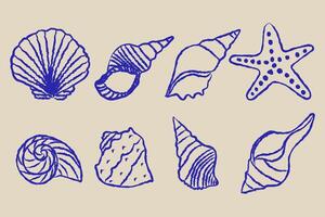 Set of hand-drawn seashells in monochrome blue ink line isolated background. vector