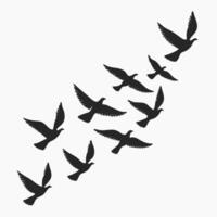 A flock of birds flying in the air vector