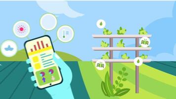 Farmer Looking Vertical Farm Data with Phone video