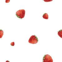 Fresh strawberries on white background vector