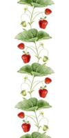 Strawberries with green leaves vector