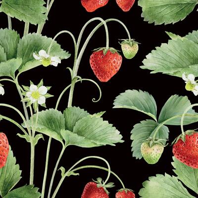 Seamless pattern of watercolor wild strawberry branches with fruits, leaves, flowers. Floral Botanical print. Strawberry plants on dark background for package, cosmetic, tablecloth, wallpaper, textile