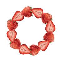 Circular arrangement of fresh strawberries vector