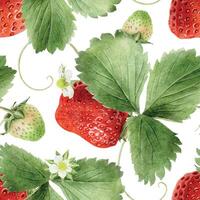 Strawberry pattern with green leaves vector