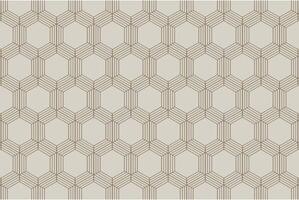 Geometric hexagonal pattern with subtle parallel lines and neutral background vector