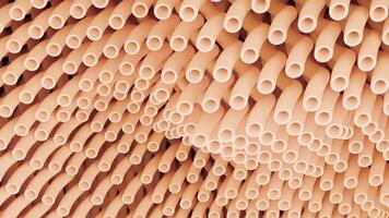 Microscopic view of moving orange tubes video