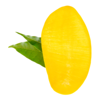 A half of ripe mango fruit with green leaves isolated with clipping path in file format png