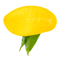 Ripe mango fruit with green leaves in half isolated with clipping path in file format png
