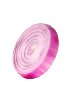 Large red or purple onion bulb in slice in circle shape isolated with clipping path in file format png