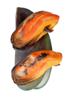 Three cooked green mussels in red meat and shell in vertical heap isolated with clipping path in file format png