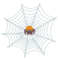 Cute Halloween spider and cobweb illustration with spooky style for seasonal design. png