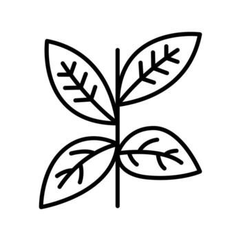 naturaleza hoja arte lineal icono para Respetuoso del medio ambiente proyectos y web diseño elementos vector