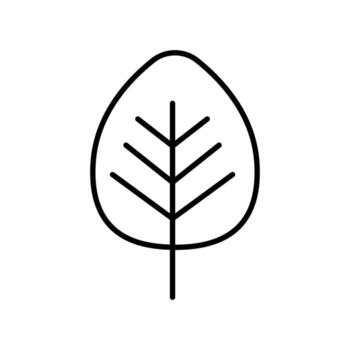 hoja arte lineal icono para Respetuoso del medio ambiente proyectos y web diseño elementos vector