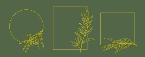 line art frames with olive branch motifs circle, rectangle and square outlines on green background. Botanical minimal style for branding, invitations, packaging. vector