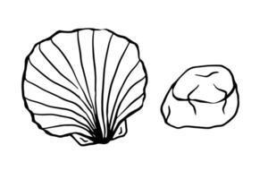minimal line art of a scallop shell next to a smooth pebble. Perfect illustration for marine, beach, ocean designs, logos, tattoos, coloring books, web icons. vector