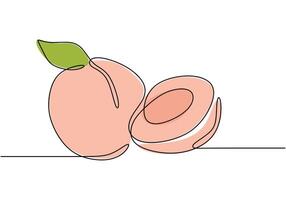 Continuous line drawing of a peach. Illustration for healthy food concepts. vector