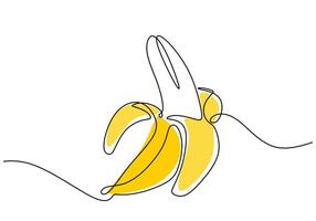 Continuous line drawing of a banana. Illustration for healthy food. vector