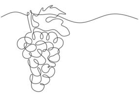 Grapes on vine continuous line art vector
